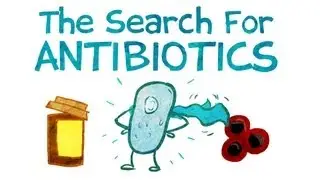 The Search for New Antibiotics