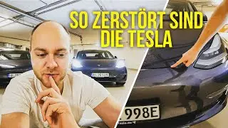 Sch&auml;den am Tesla nach 35.000 KM und 6 Monaten (2 x Model 3 mit Vermietung)