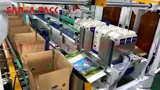 #shorts Cream Case Packer machines,push and load type-Santa Pack