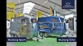 Mustang Sport og Mustang Elite hestetrailer