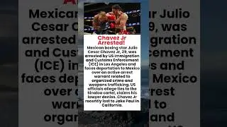 Boxing Star Julio Cesar Chavez Jr Arrested by US Immigration | Alleged Cartel Ties