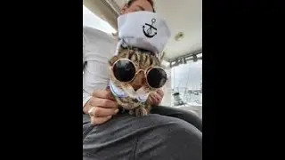 Transitioning to Boat Life S01E01