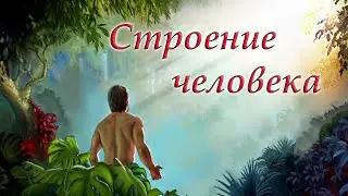 Зачем Господь Бог создал человека и как устроен сам человек?