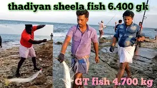 thadiyan sheela fish 6.400 gk GT fish 4.700 kg. #fishing #reels #sea #tamil #fishing video