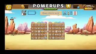 3 rounds of bingo showdown