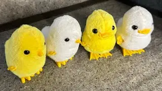 [ASMR] Unboxing Four Adorable Wind-Up Chick & Duckling