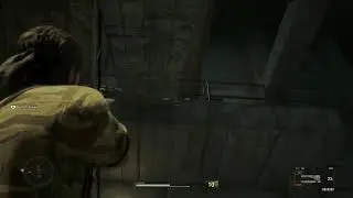 MGS3