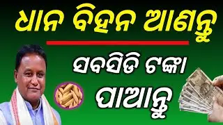 Get Paddy Seeds with Subsidy | Apply Online for Seed Subsidy 2025 | Farmers Must Watch