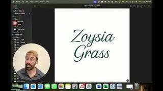 This Week in the Lawn: Grass Heights 101 for Central Texas