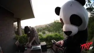 THCtv: Dirturtles S4E3