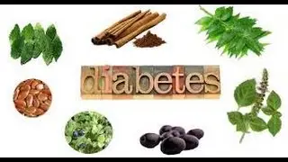 Natural Solutions for Diabetes - Serving Denver & Surrounding Areas - Aim High Chiropractic