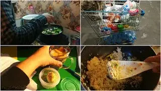 Husband is in kitchen | Weekly grocery haul || Vlogger Bird ||