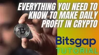 Крипто-торговый бот для начинающих: все, что вам нужно знать о Bitsgap!