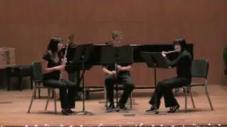 Engineering Chamber Orchestra (EChO) Winter Concert 2009 deWailly Trio