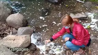 ENS 54 Aquatic Ecology: (The Aquatic Ecosystem Vlog )