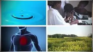 Science at the University of Exeter
