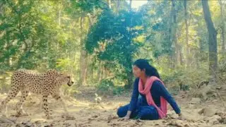 ROYAL BENGAL TIGER ATTACK ON SHEPHERD IN FOREST / JANGAL ME TIGER KA HAMAL🐯 cheetah attack..🐆😂