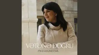 Vətənə Doğru