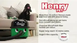 Meet Henry Pet