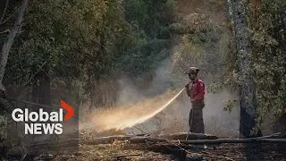 BC wildfires: Number of properties destroyed by Central Okanagan wildfires grows to 189 | FULL