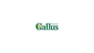 Gallus (Hungary / Magyarorsz&aacute;g) Superbrands TV Brand Video
