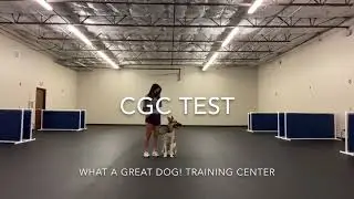 Obtaining a Canine Good Citizen (CGC) Title