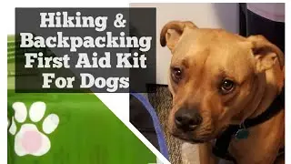 Hiking/Backpacking First Aid Kit for Dogs