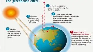 General Studies | Environment Part - 1 | Global Warming | IES ,IAS ,SSC, UPSC, State Exams |