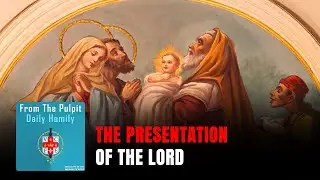 Daily IVE Homilies, December 29th, 2025 - The Presentation of the Lord