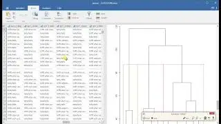Clusteranalyse