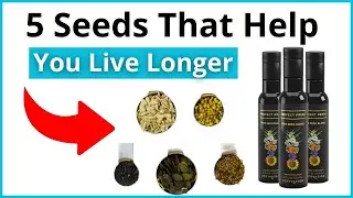Five Seed Blend &mdash; 🌿(The Best And Healthiest Seeds In The World) Seeds Activation Products Ian Clark