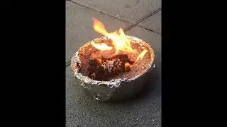 noire serpent de feu