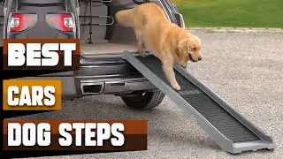 Best Dog Steps For Car In 2026 - Top 10 Dog Steps For Cars Review