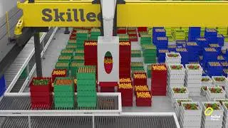Skilled robots -  Gantry 01