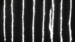 16MM Film Direct Animation.wmv