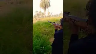 Small dove hunting follow my channel #amazing #nature