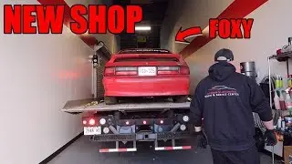 Foxy has moved to Loco Exotics | Turbo Mustang Build