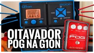 Oitavador POG na Zoom G1on // Adilson Jordão