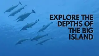 Why we like the Big Island diving  over some the other Hawaiian Islands