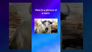Pixel art of national animals: Bhutan