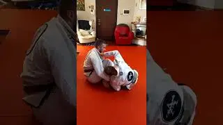 Dani giugno 2020