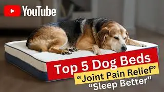 Top 5 best dog bed for joint pain review (Hidden Gem) Orthopedic Comfort Buyers Need | Review 2026