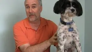 FreshPet Review- the only dog food my picky dog will eat! -EpicReviewGuys