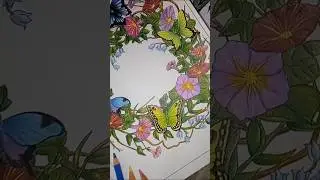 #creativehaven #coloring #butterfly #drawing  #раскраскидлявзрослых