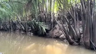 Week 5 of lost in Asia Part 4 - The Horror 