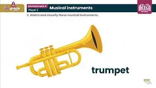 Musical Instruments