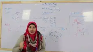 science unit4,lesson1 cell division  prep 3