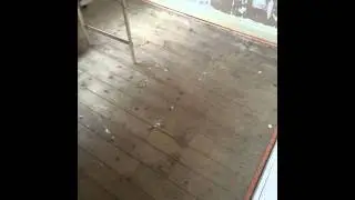 Fitz2Kleen Specialist Cleaning Services and Property Maintenance