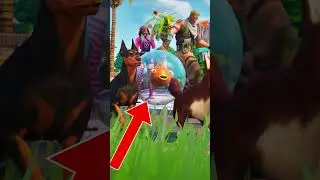 НЕ покупайте Fortnite SideKicks..