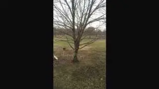 Winters Approach